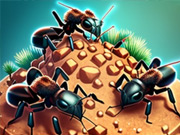 Ant Colony