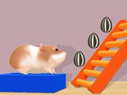 Hamster Stack Maze